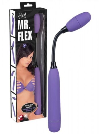 Hey Mr Flex Dildo Vibrator