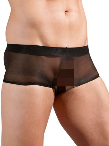 Gennemsigtige herre pants