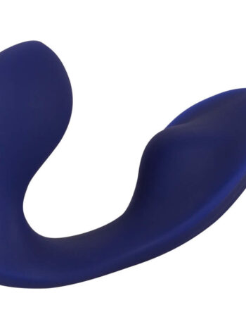 anal og klitoris trussevibrator