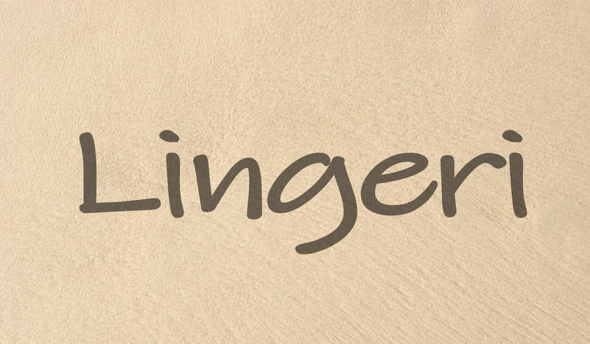 Banner-Lingeri