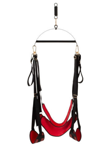 Bad Kitty Love Swing